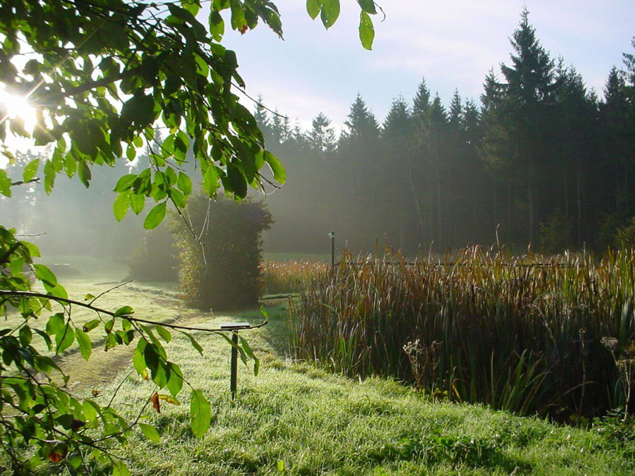 Herbst_im_Zollhaus