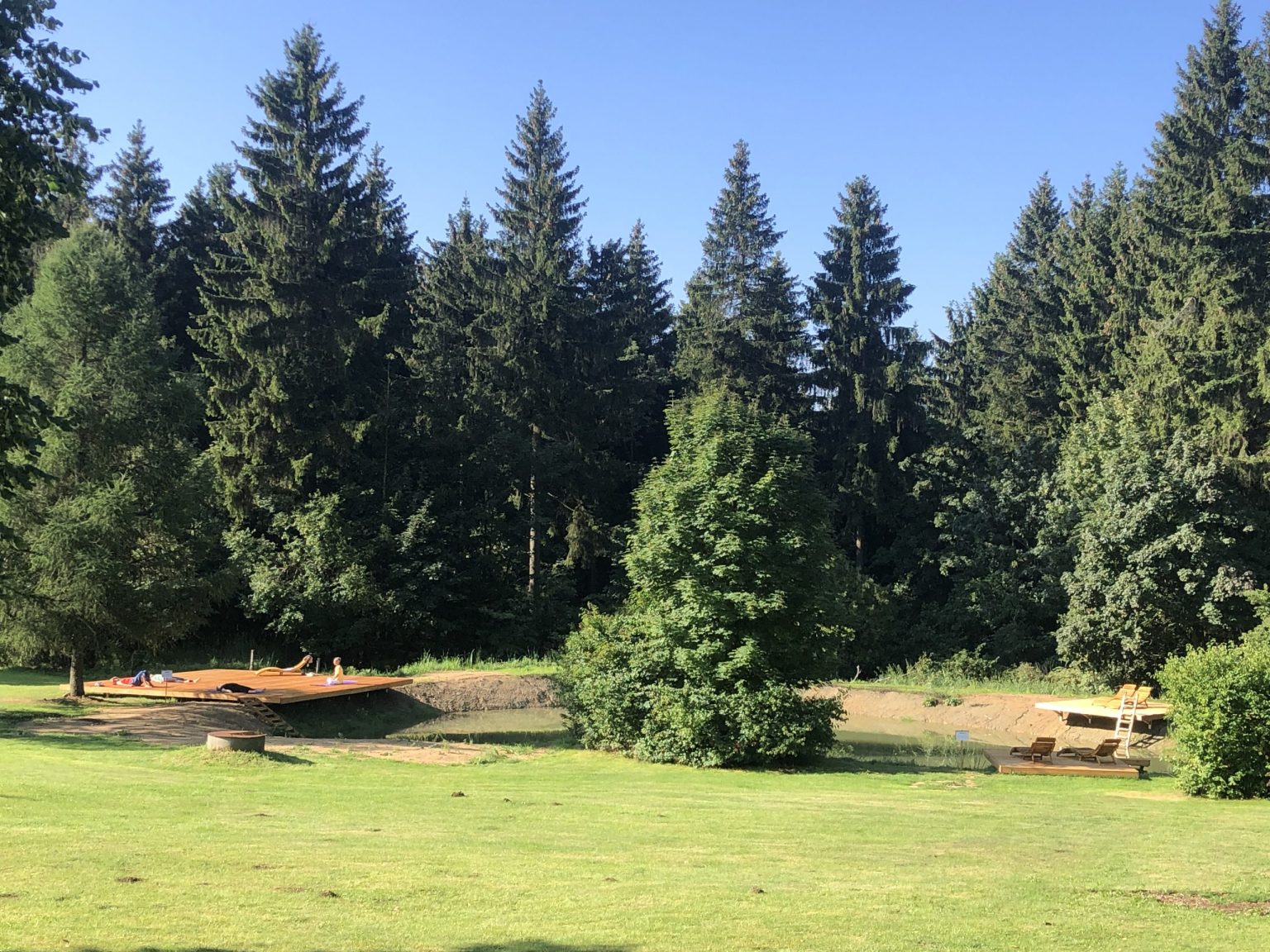 Natursee des Landhotels Altes Zollhaus, umgeben von Fichtenwald im Erzgebirge