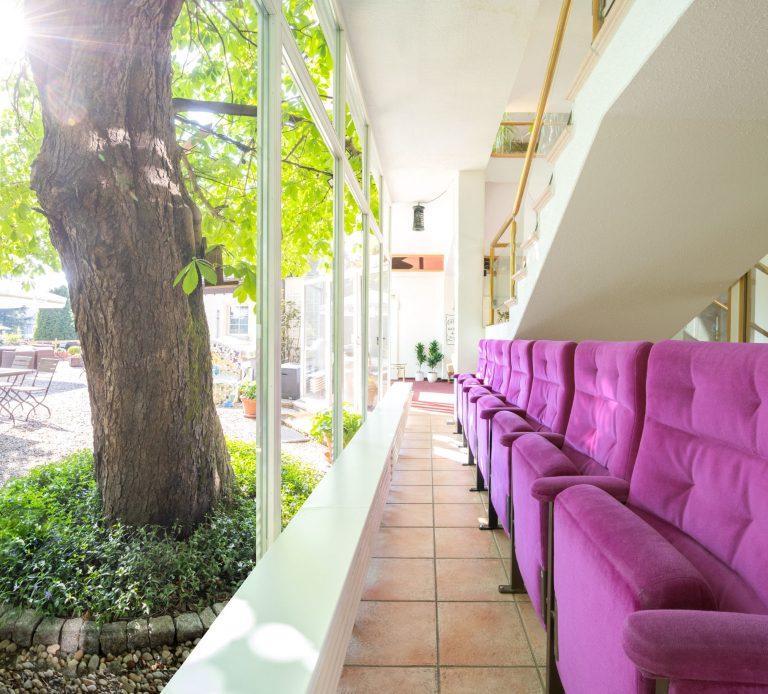 Cinema in a tree – Landhotel Altes Zollhaus