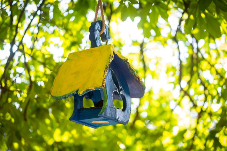Birdhouse art – Landhotel Altes Zollhaus