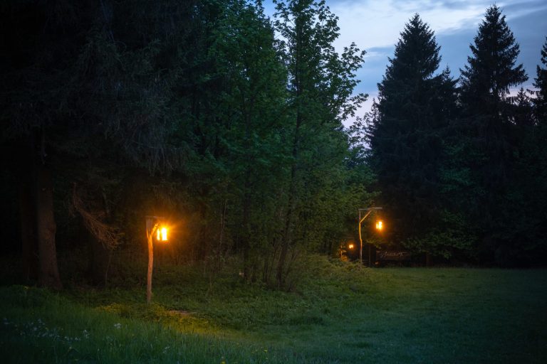 Astrology course for beginners with Ingrid Einsiedl in the Ore Mountains (2023)