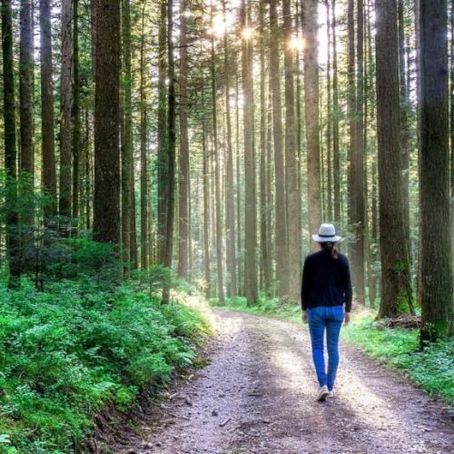 Yoga und Wandern im Erzgebirge