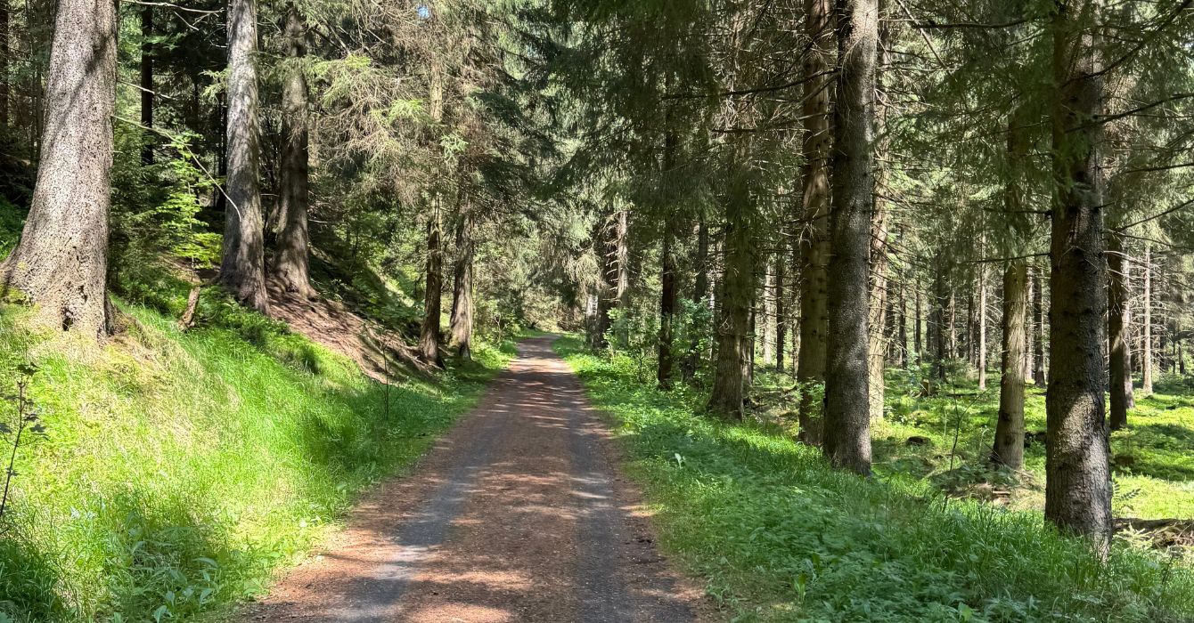 Cycling tours