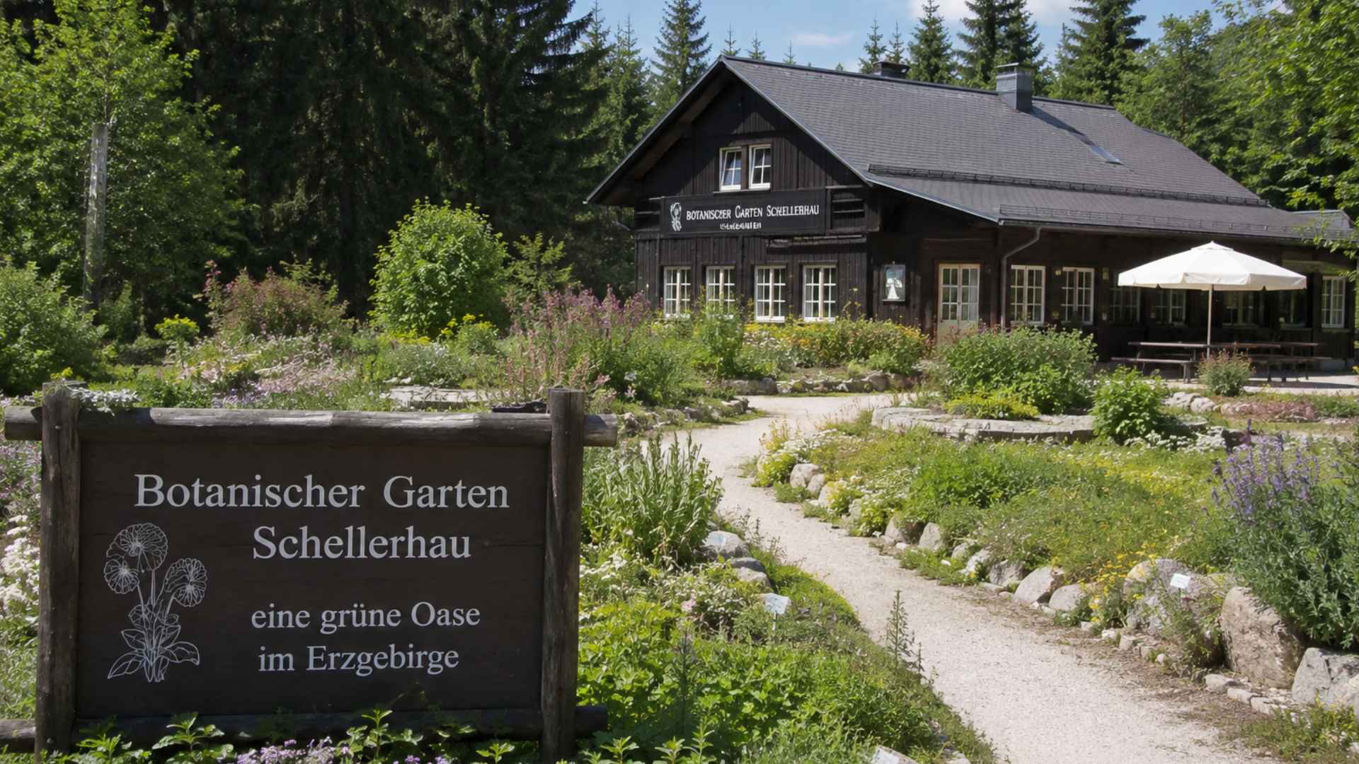 Schellerhau Botanical Garden
