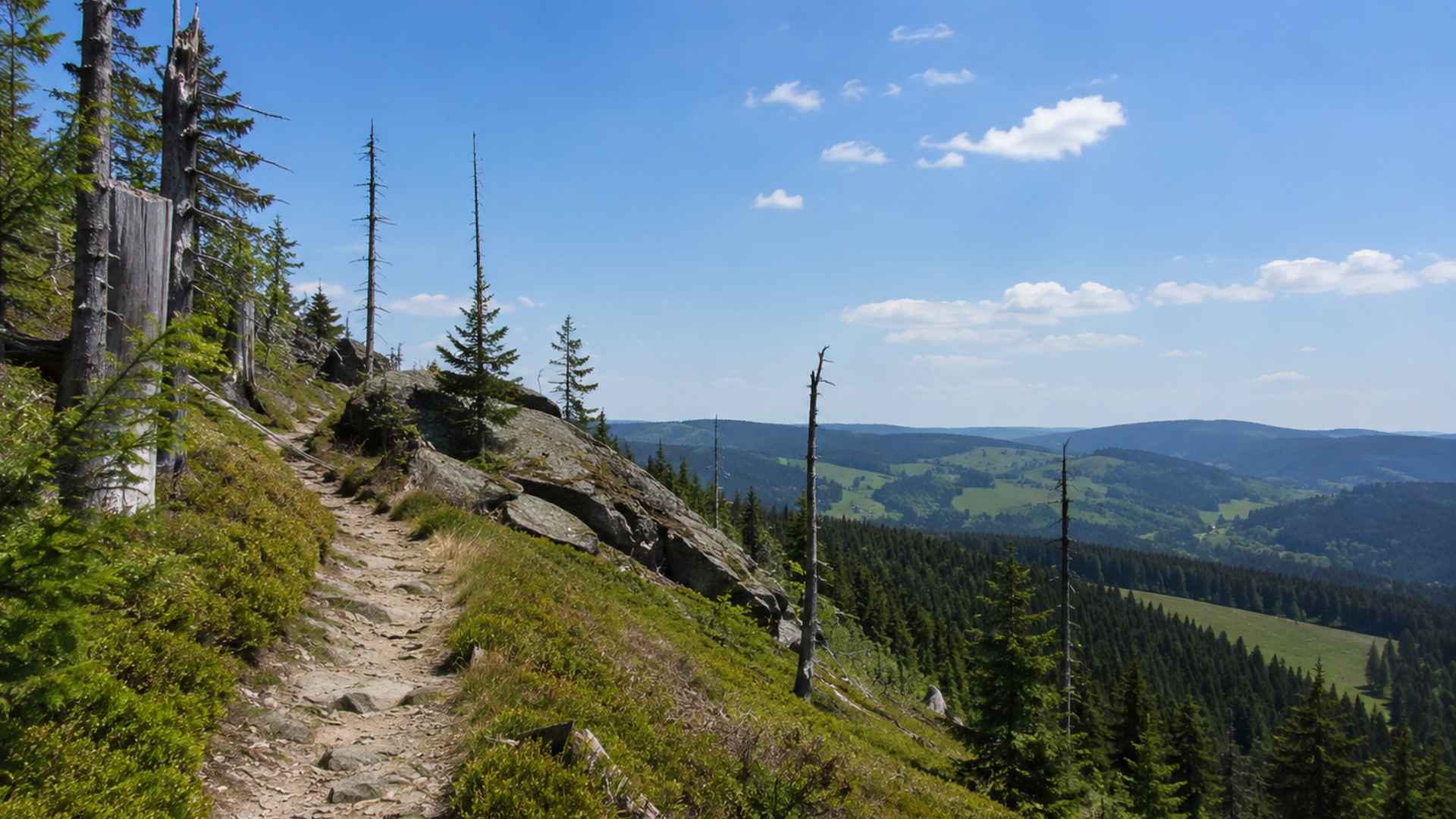 Lonely hiking trail in the Ore Mountains