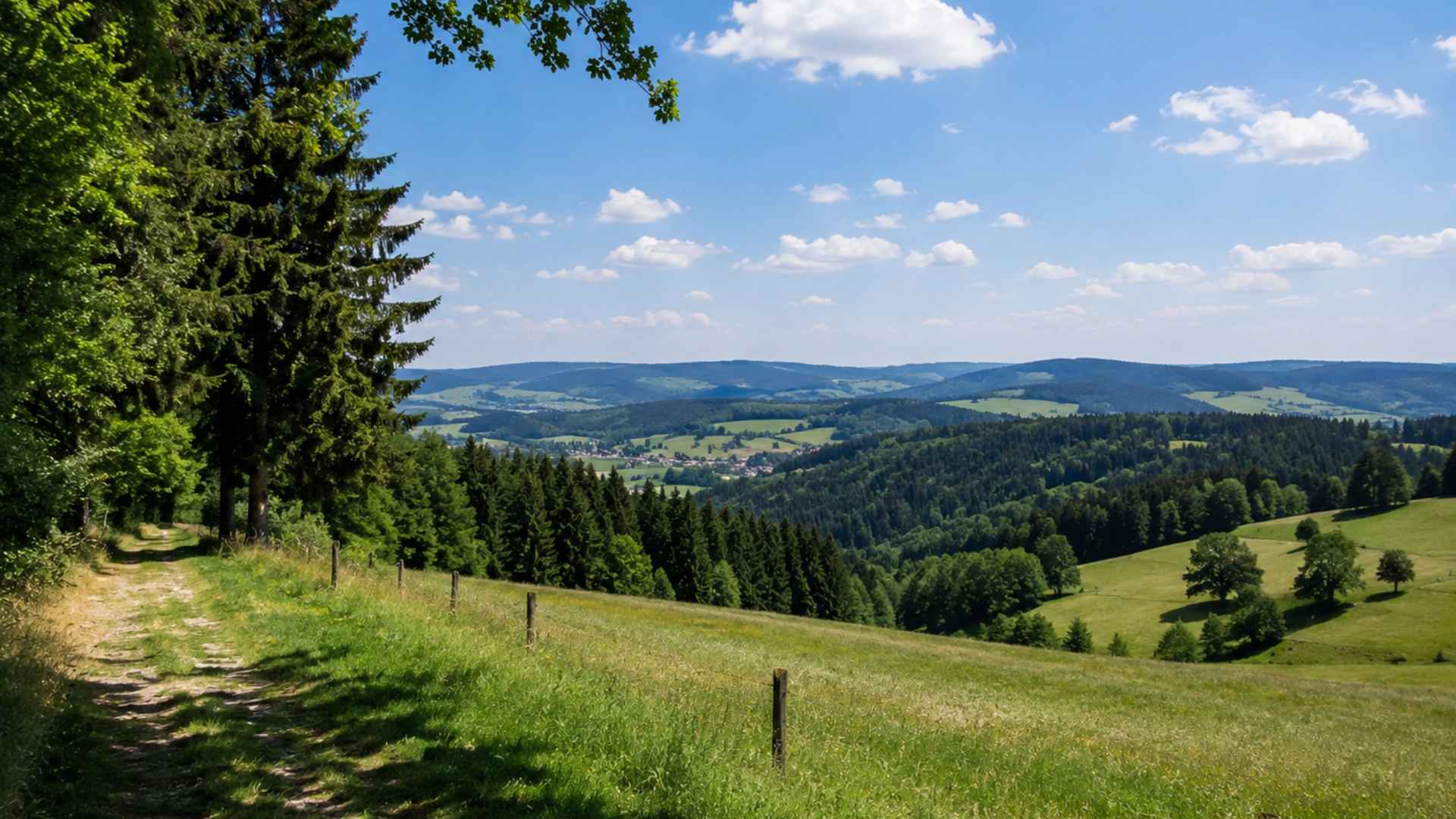 Summer landscape in the Ore Mountains