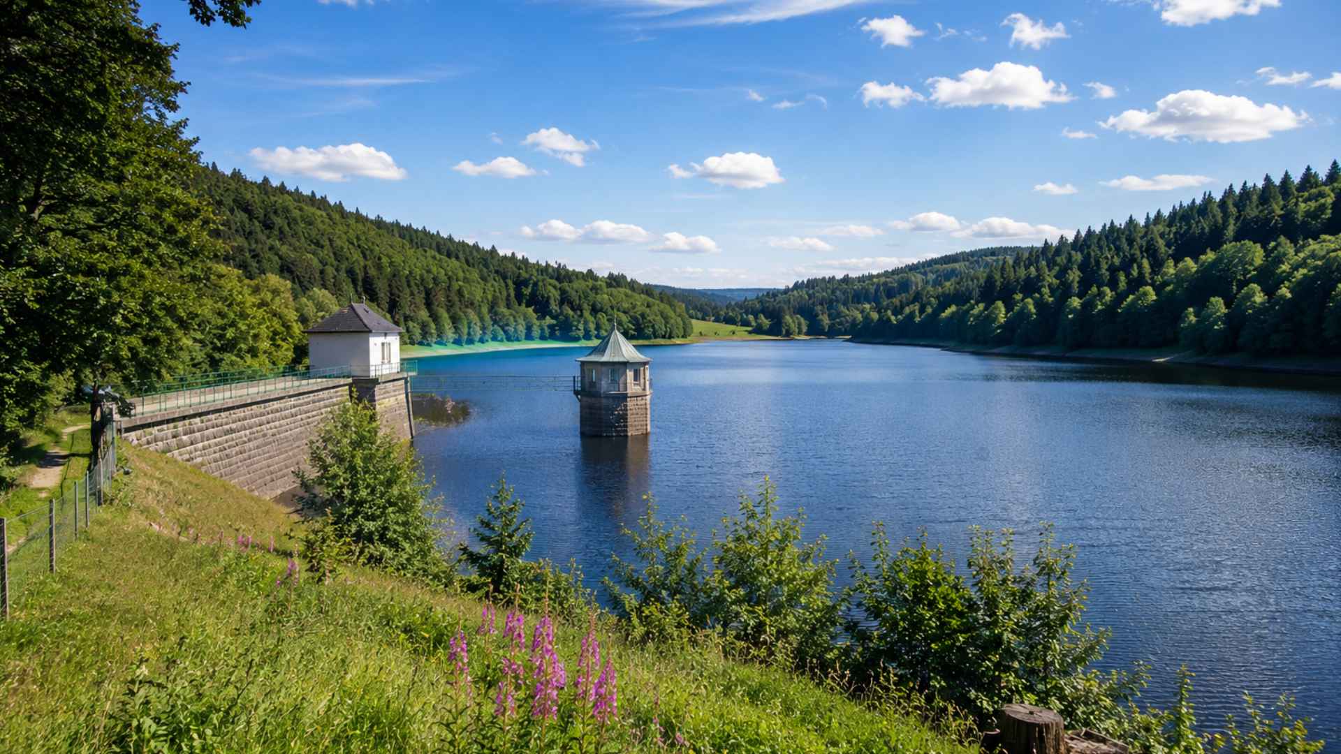 Lehnmühle reservoir in the Ore Mountains