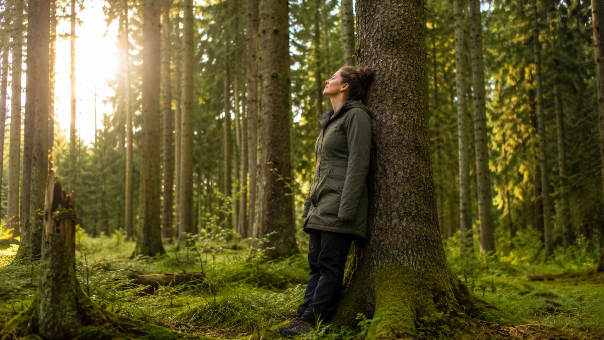 Forest bathing in the Ore Mountains
