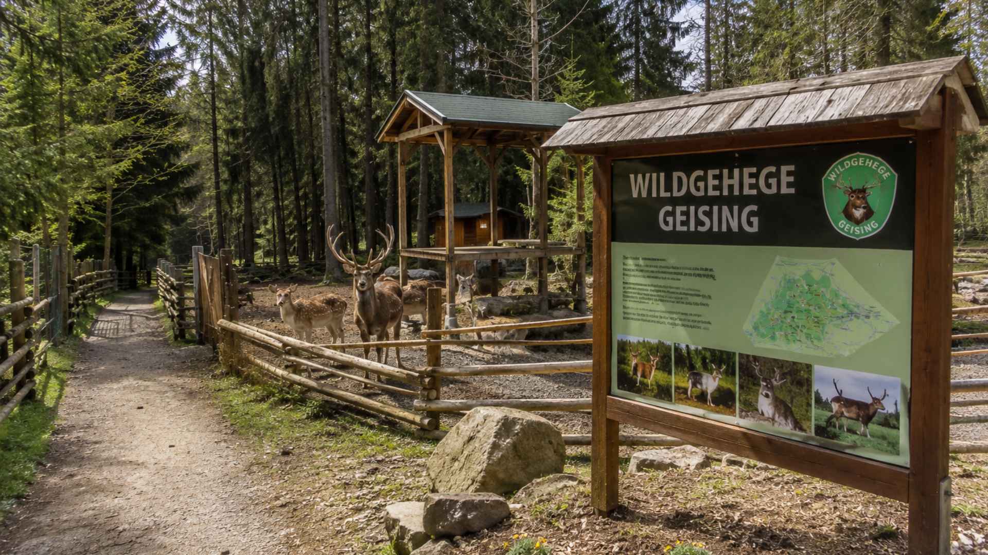 Geising wildlife enclosure