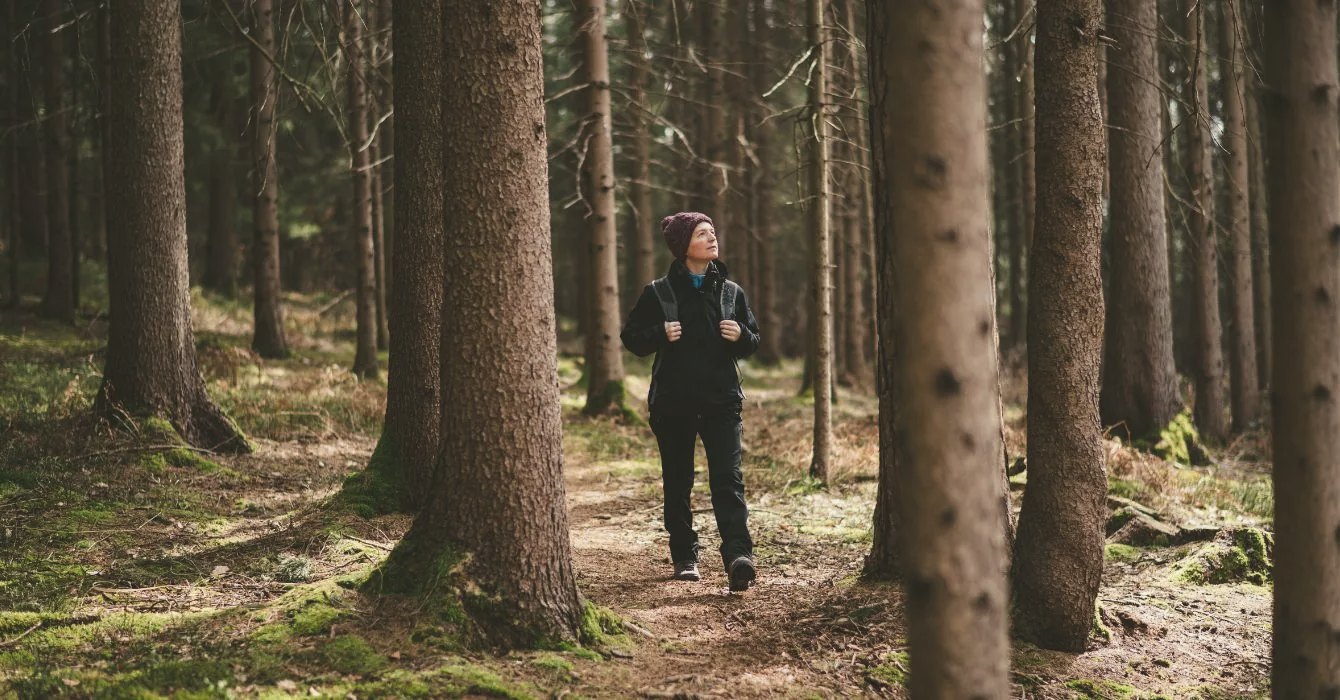 Hike through the spruce forest during experience fasting in the Ore Mountains