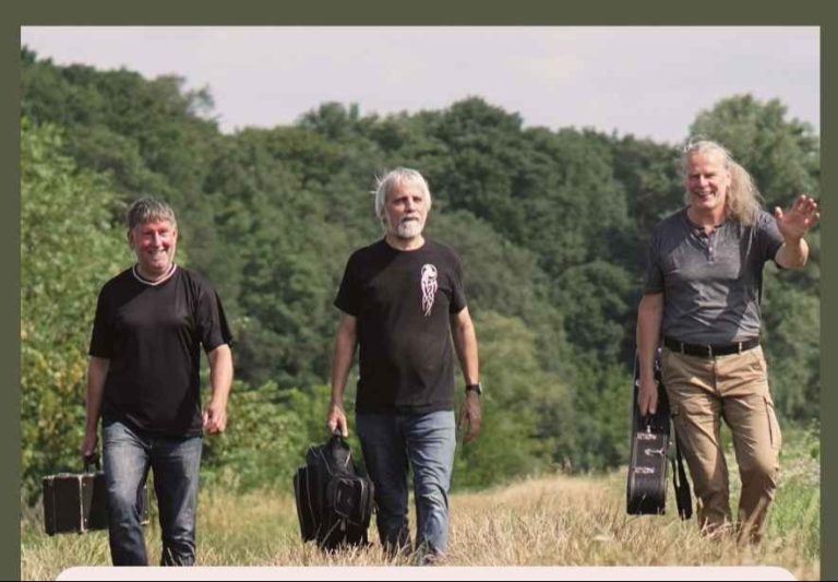 Greenpeckers Band – Irish folk live at the Zollhaus