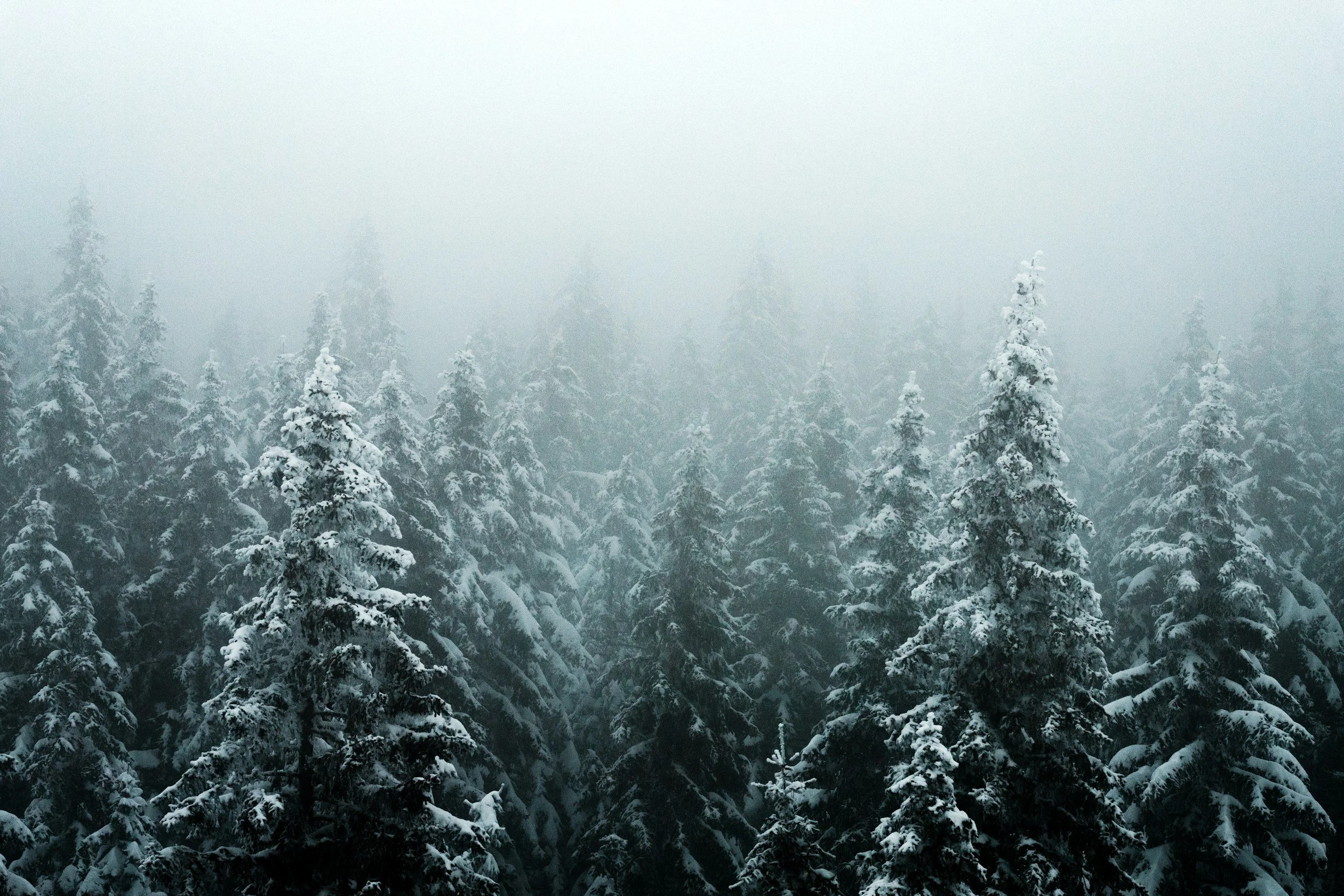 Ore Mountains Ridge Trail